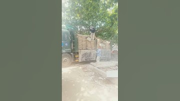 muôn vàn kiểu bốc xi măng p1