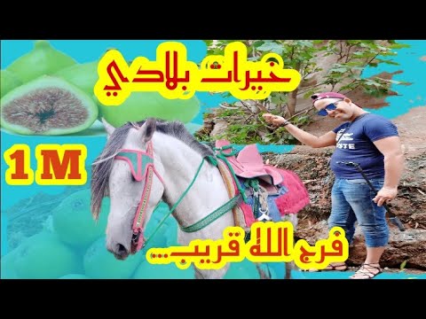 شوف بلادي كي كانت وكي ولات انا بعد العسر يسر