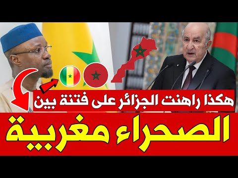 هام السنغال تصفع الجزائر بهذا القرار وهذه تفاصيل فشل الرهان الجزائري على فتنة بين المغرب والسنغال