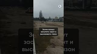 На засыпанных руинах Королевского замка в Калининграде высадят мавританский газон