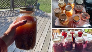 Why  I can so much food and how I got started  #canning #homemaker #foodinjars