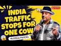 Russell Peters Freaks Out After Discovering India’s “Cow Traffic” | Stand-up Comedy 🔥