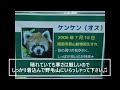 【2022/1/6】野毛山動物園の賢健さん(♂)③→Red Panda &quot;Kenken&quot;-Yokohama Nogeyama Zoo (In Jan of 2022)