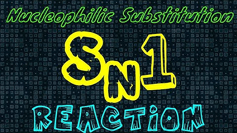 SN1 reaction/Nucleophilic Substitution Reaction