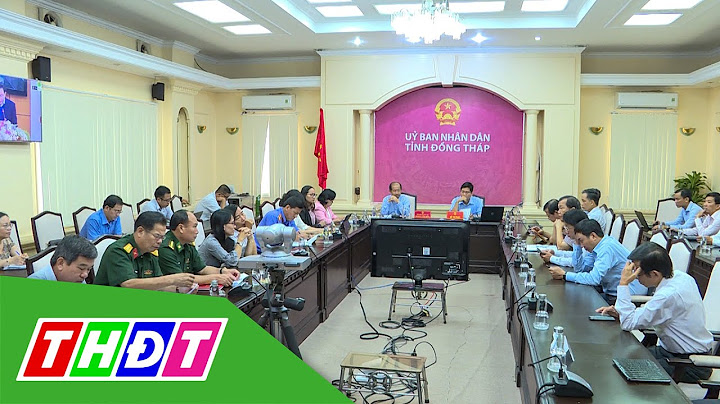 Đánh giá hiệu quả pháp luật năm 2024