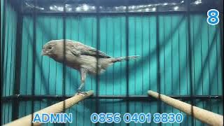 F1YS, F1RASMI, F1GIBOSSO HANGING MATERIALS!! PLEASE GET IT ON THE GAS BOS Q