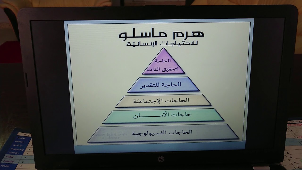 مفهوم وأهمية مرحلة رياض الأطفال