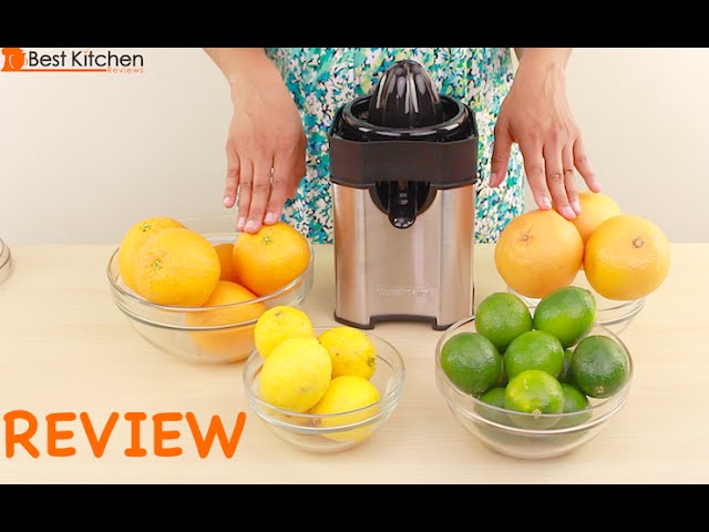 Black & Decker Citrus Juicer - 500 ml – Mega Hardware