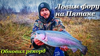 КРУПНЯК ПОПЁР! ЛОВИМ ФОРЕЛЬ НА ПЯТАКЕ. ТОП УЛОВИСТЫХ ПРИМАНОК