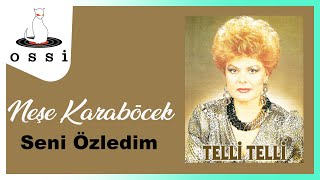 Neşe Karaböcek - Seni Özledim