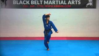 2nd Dan Black Belt Poomsae -Gumkang- - Taekwondo