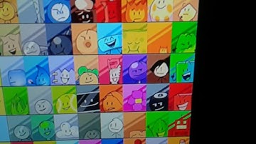 BFB Viewer Voting #1