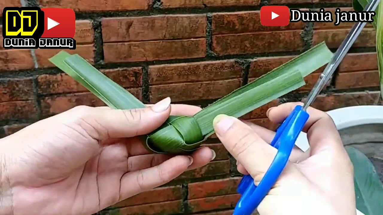 Cara membuat burung dari janur daun kelapa #duniajanur Loro ati Loro