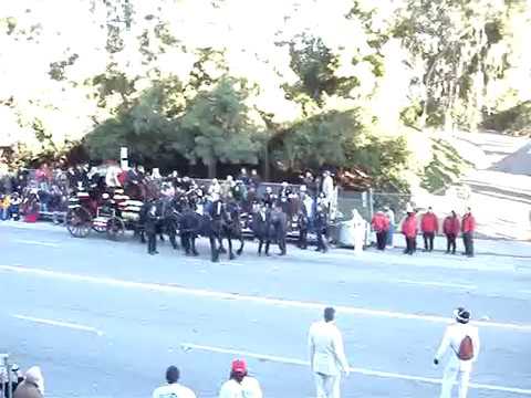 Horses Veer Off-Course