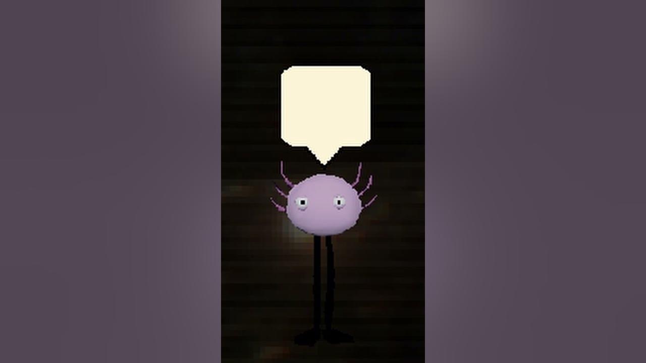 KinitoPet Wants To Play Hide And Seek - YouTube