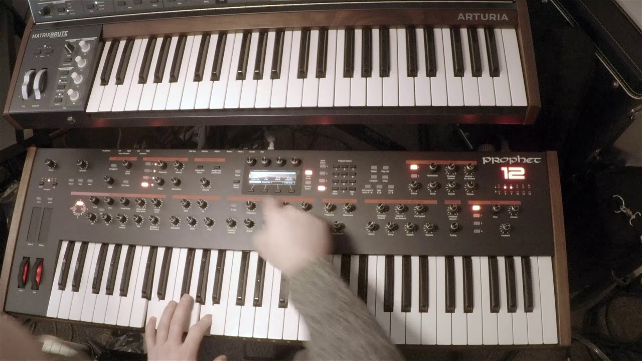 Prophet Sunday with the DSI Prophet 12- Episode 1: Vintage Sawtooth Pad