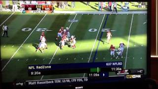 Jerome Simpson front flip Touchdown