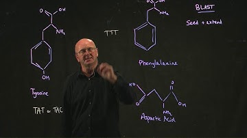 BLAST 3 amino acid differences