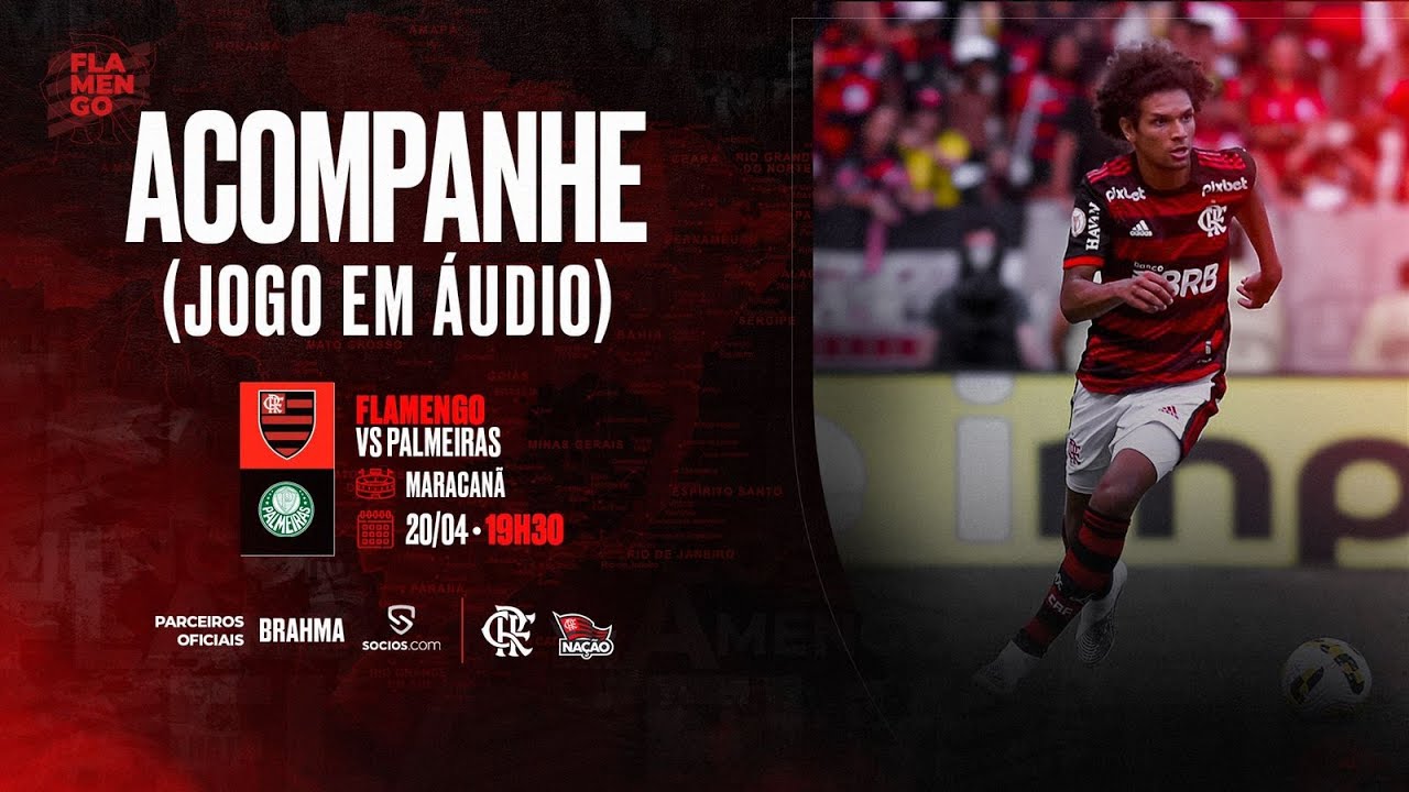 Flamengo X Palmeiras Campeonato Brasileiro Ao Vivo Youtube