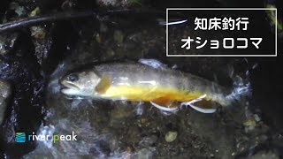 「北海道知床のテスター」 海老原さん 2021 オショロコマ釣行レポート