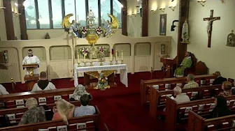 Daily Readings and Homily - 2025-10-14 - Fr. Paschal