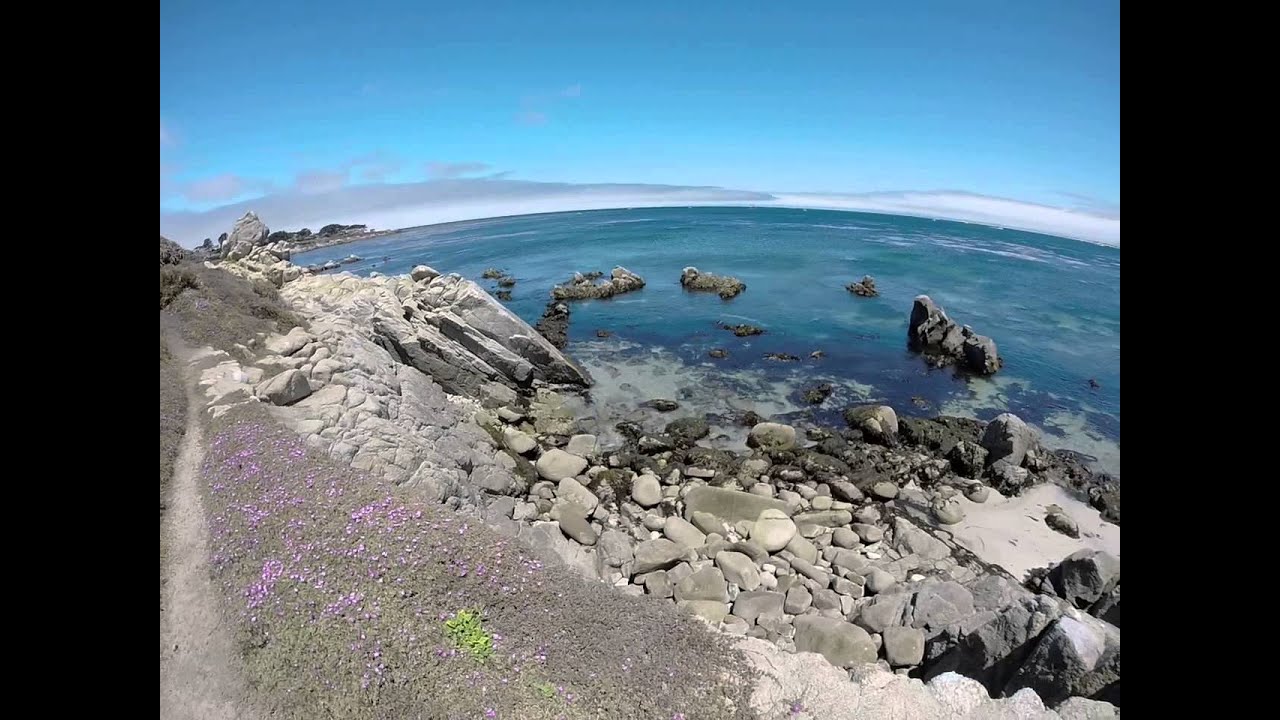 Pacific Grove Fishing Spot