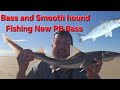 Bass and Smooth hound Fishing North Wales 🏴󠁧󠁢󠁷󠁬󠁳󠁿