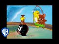 Tom y Jerry en Español | Jerry y sus amigos | WB Kids