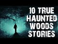 10 TRUE Creepy Haunted Woods & Middle Of Nowhere Stories | (Scary Stories)
