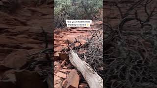 Subway Cave via Boynton Canyon Trail in Sedona, Arizona