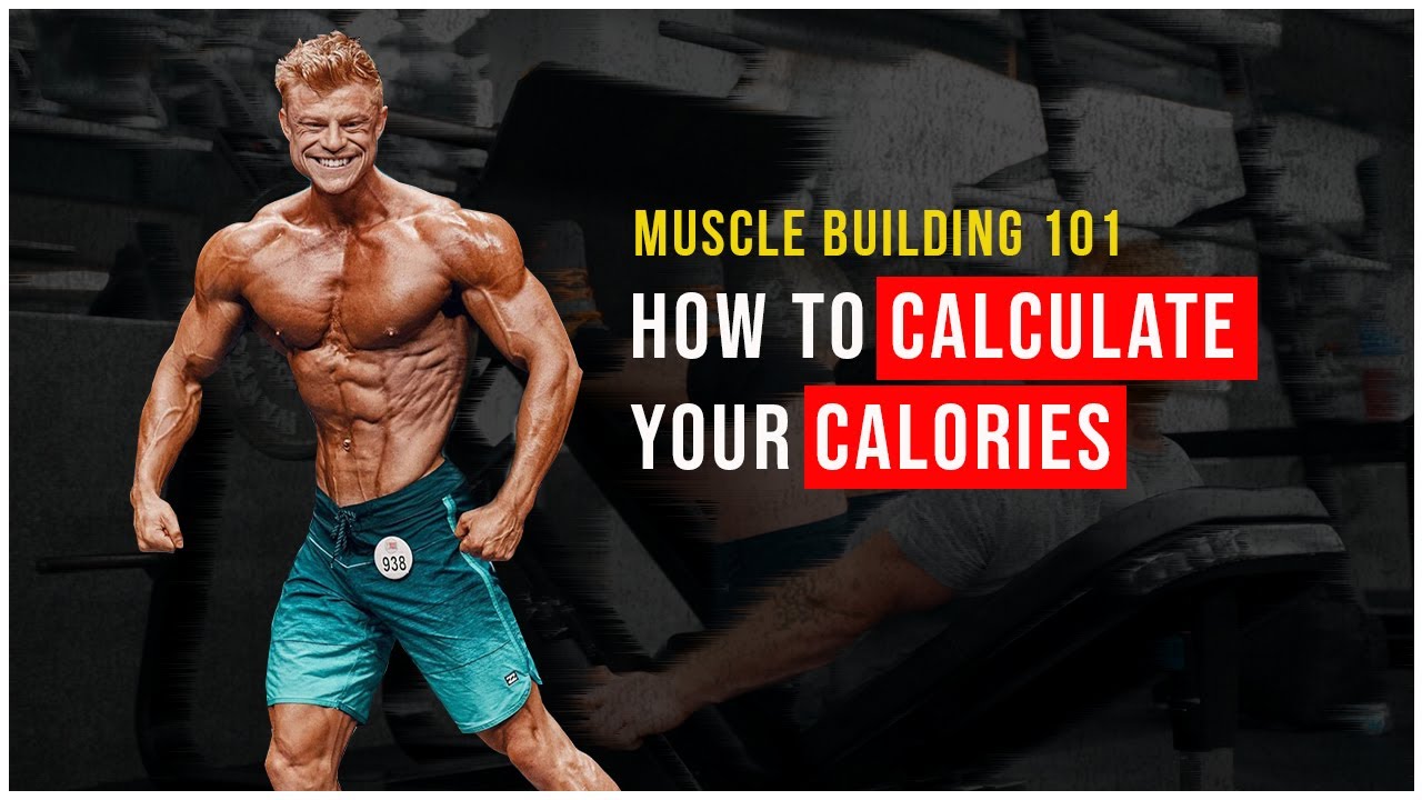Bodybuilding 101 - How to Calculate Your Calories - YouTube