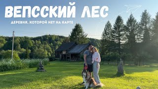 видео: ВЕПССКИЙ ЛЕС | Живем в деревне, которой нет на карте | МАЯК на Онежском озере картинка: ВЕПССКИЙ ЛЕС | Живем в деревне, которой нет на карте | МАЯК на Онежском озере