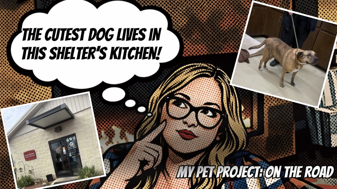 Episode 4: On the Road to Visit Tullahoma Animal Shelter