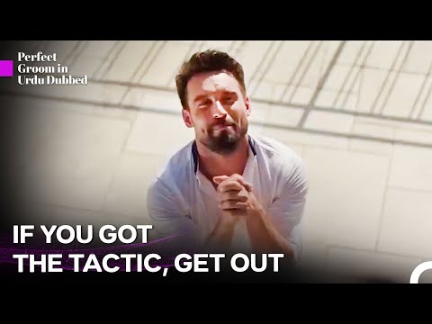 Apology Tactics | Perfect Groom