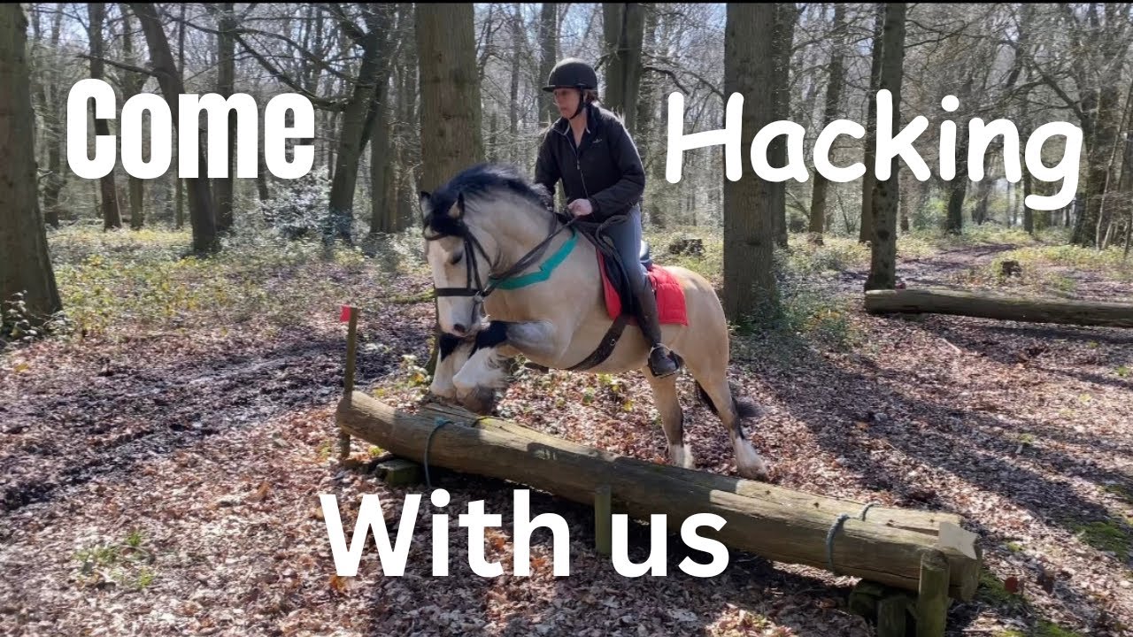 Tack up and ride with us taking Champ for a hack round the cross