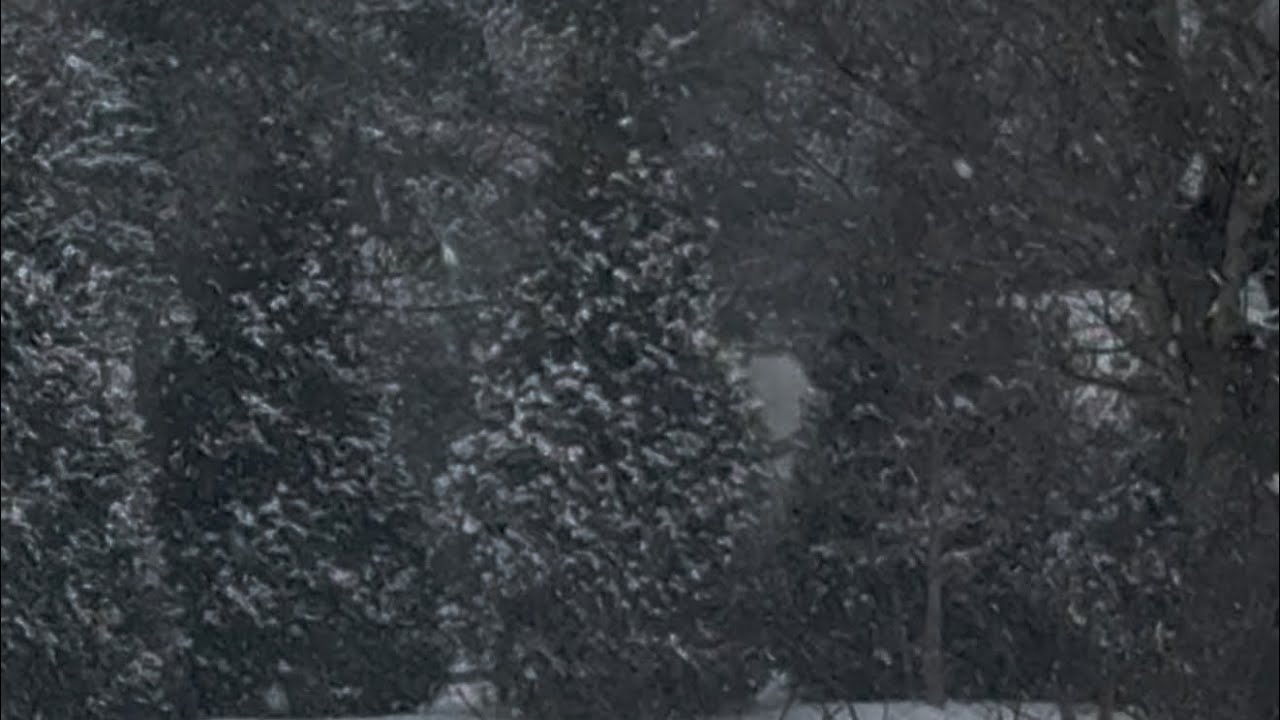 Winter Snow Sounds for Sleep Restore Your Nervous System Relaxing Music to Stop Overthinking & Relax