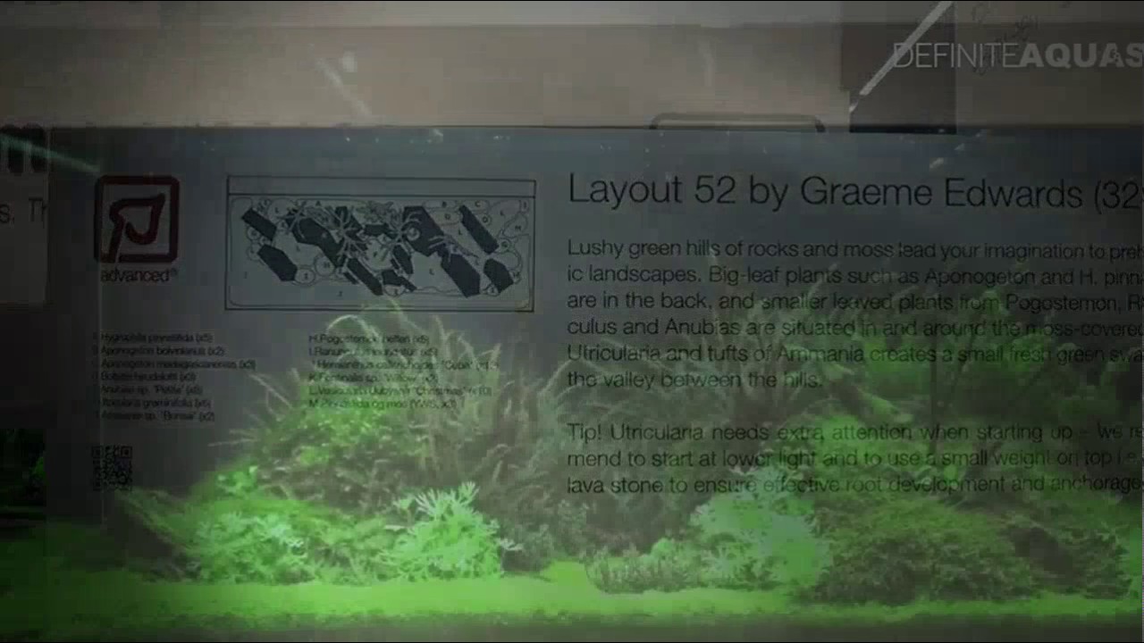 Aquascaping   Tropica planted aquariums at InterZoo 2012 720p 30fps H264 192kbit AAC