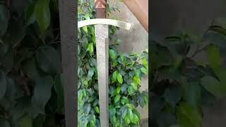 Handmade Damascus Steel Blade Sword #fantasysword #functionalsword
