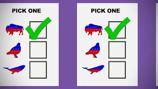 Approval Voting: The easy way to elect better leaders