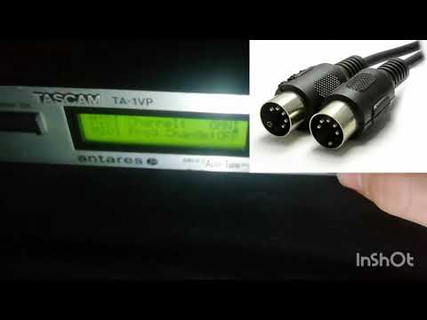     1  أسهل شرح للأوطوتين