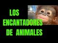 LOS ENCANTADORES DE ANIMALES