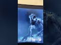 T Rex Vs Indominus Rex Vs Mosasaurus Showdown Jurrasicworld Dinosaurs Mosasaurus Trex Indominusrex 