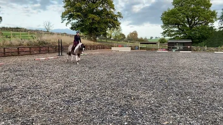 Julie mills riding Tiggi prelim 2c October