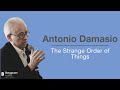 Berggruen Salon Full Talk Antonio Damasio