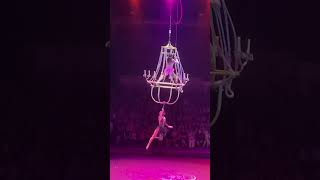 Flying Circus Stars #show #performance #circus #juventas #usa #2025