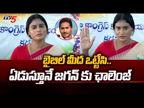 బైబిల్ మీద ఒట్టేసి.... | YS Sharmila Challenge to YS Jagan | YSRCP | AP Election 2024 | TV5 News - TV5NEWS