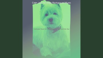 Pulsating Ambience for Calming Your Dog