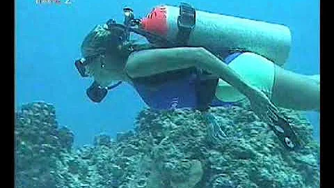 Michelle Cain Scuba