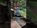Enjoy the natural music #nature #english #motivation #subscribe for more