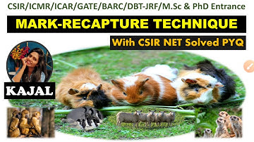 MARK-RECAPTURE TECHNIQUE | Estimating Population Size|Ecology|CSIR NET PYQ